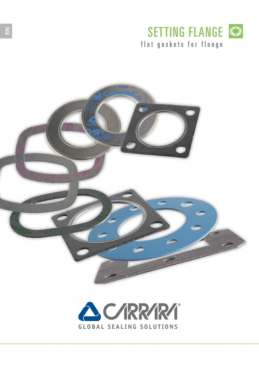 Flat Gaskets for Flange