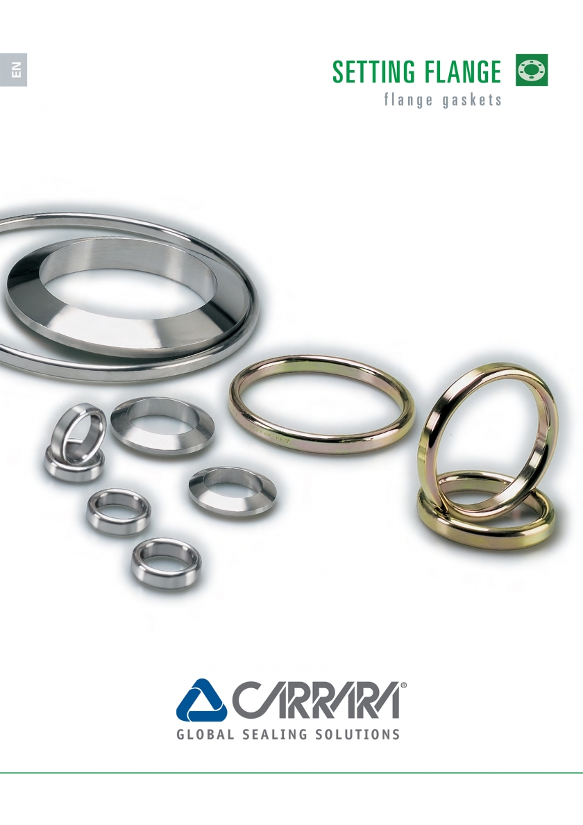 Metallic Flange Gaskets